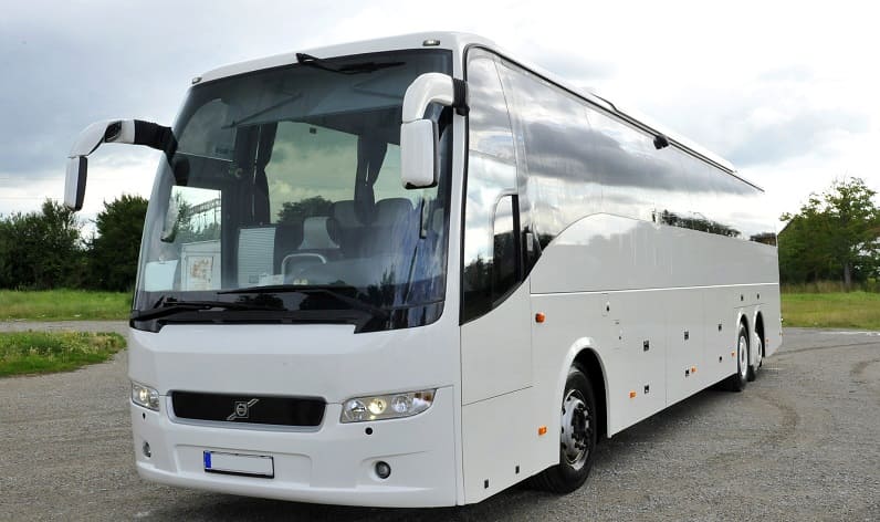 Sicily: Buses agency in Acireale in Acireale and Italy